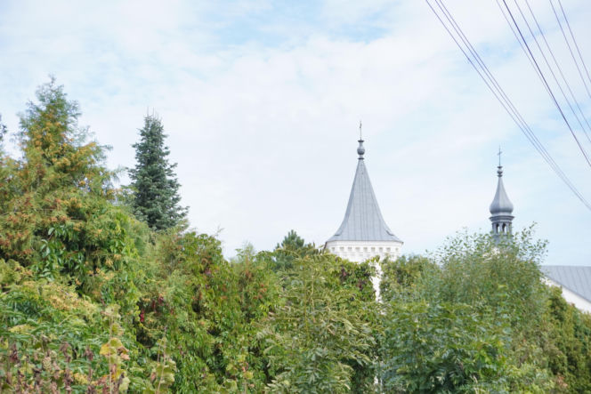 Radoszyce