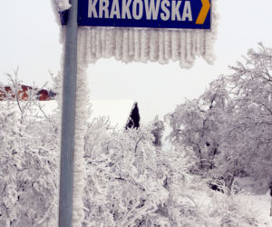 Zima