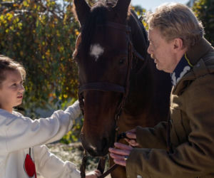 Na dobre i na złe, odcinek 724. Cezary (Daniel Olbrychski), Matylda (Amelia Czaja)