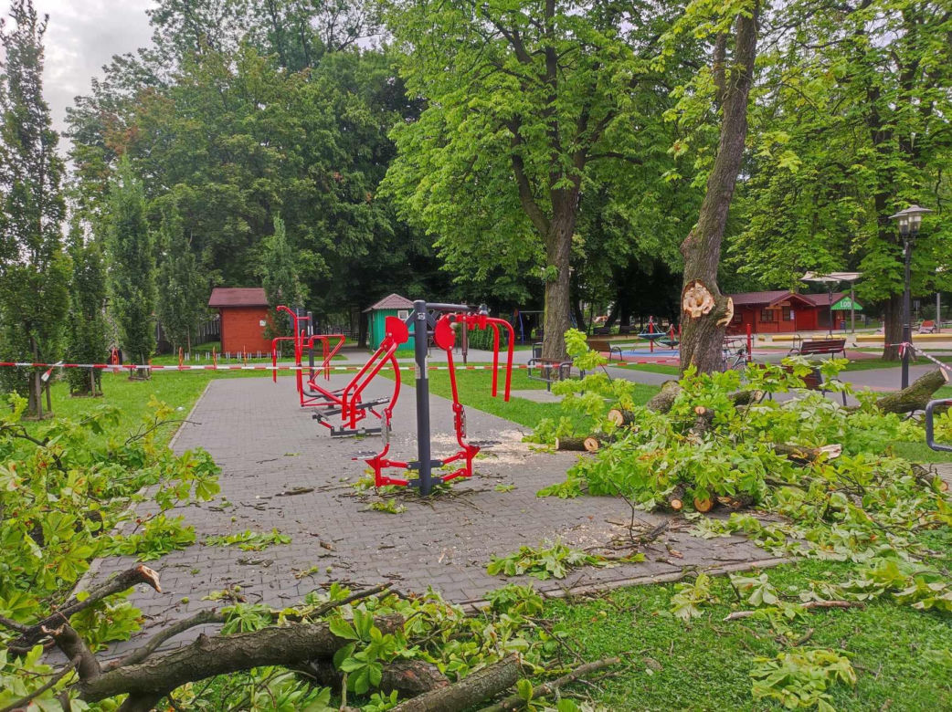 Tarnów. Dziewczynka uderzona przez zerwany konar. Koszmar na placu zabaw w Parku Strzeleckim