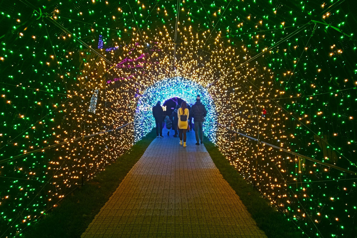 Garden of Lights w Szczecinie
