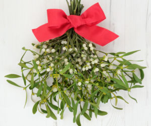 Jemioła z czerwoną kokardą