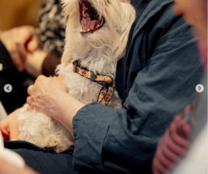 Wiktor Zborowski i Maria Winiarska obchodzą złote gody