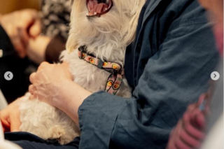 Wiktor Zborowski i Maria Winiarska obchodzą złote gody