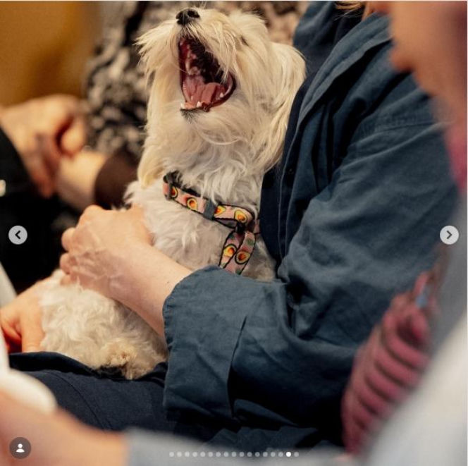 Wiktor Zborowski i Maria Winiarska obchodzą złote gody