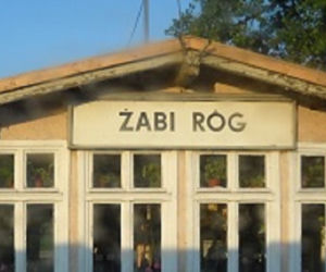 Żabi Róg