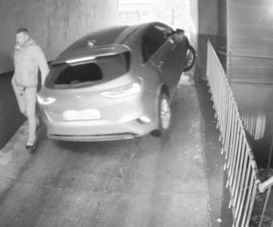 Szokujący wypadek Dyrektorki NIK