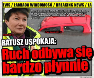 Zalana Warszawa - memy