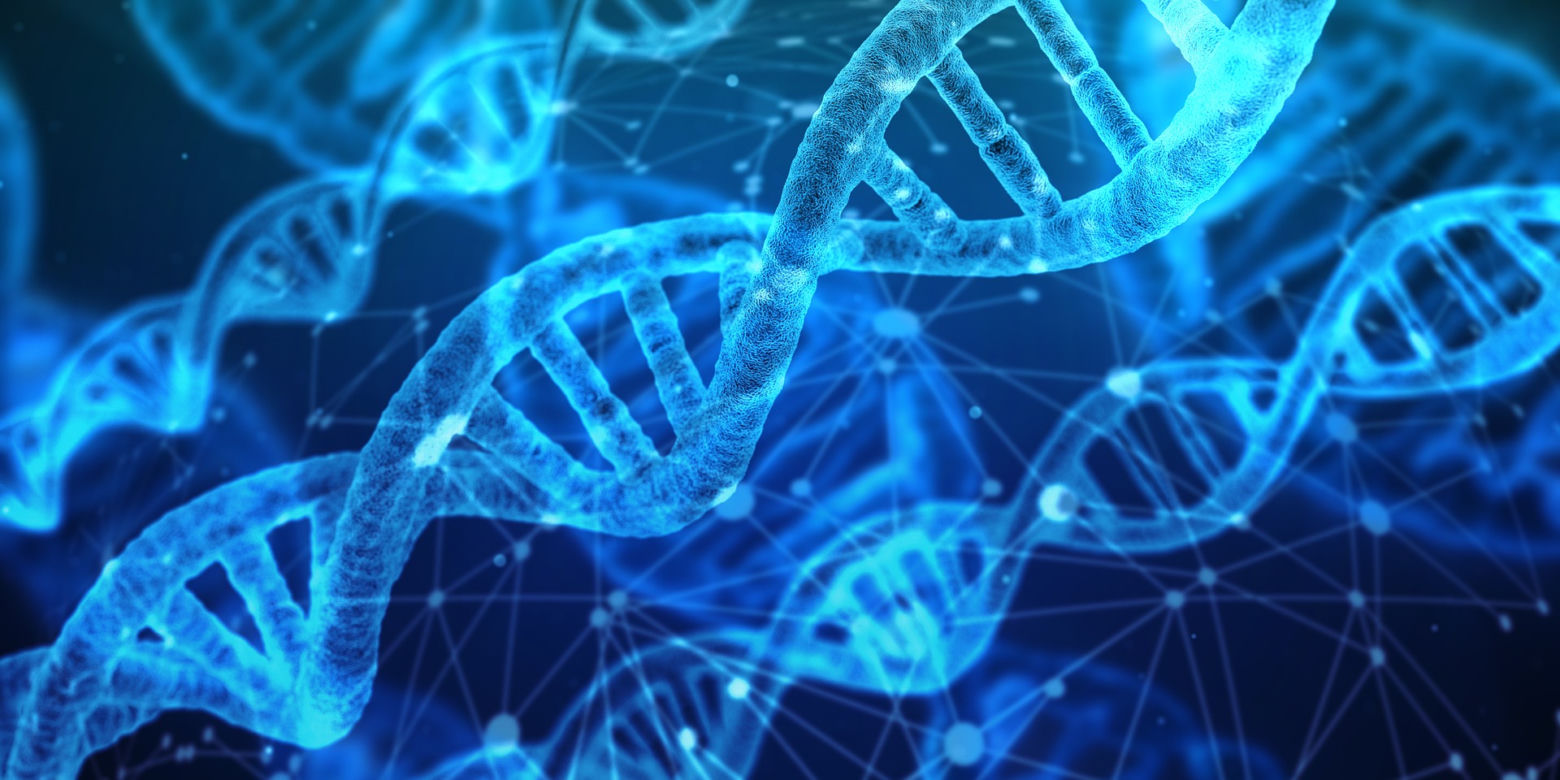 Dla dbających o zdrowie - warsztaty poświęcone badaniom biomarkerów chorób cywilizacyjnych
