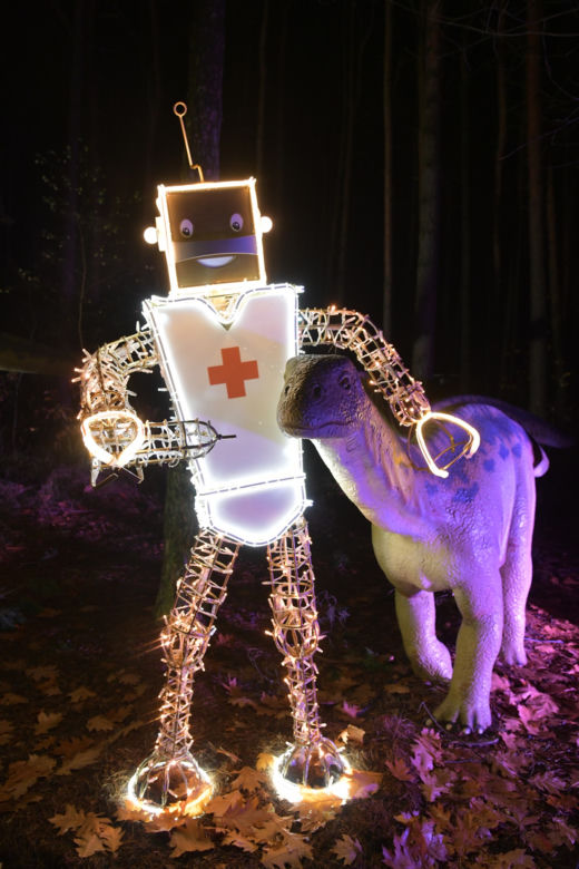 Park iluminacji w Bydgoszczy. Niezwykła świetlna atrakcja.już otwarta! [ZDJĘCIA]