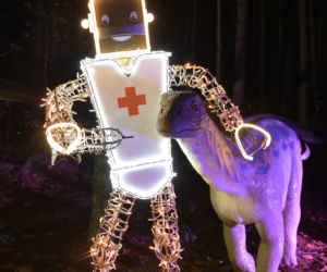 Park iluminacji w Bydgoszczy. Niezwykła świetlna atrakcja.już otwarta! [ZDJĘCIA]