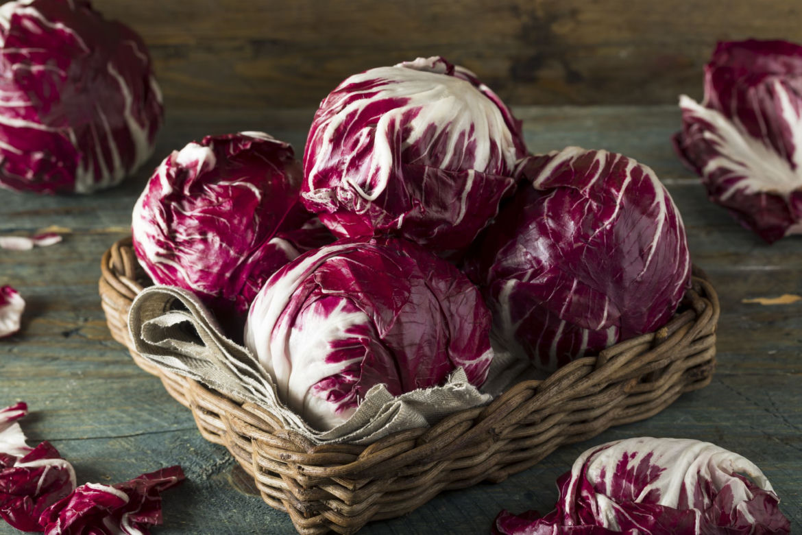 Radicchio