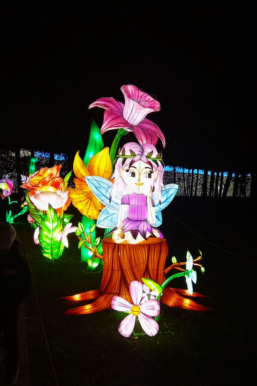 Garden of Lights w Szczecinie