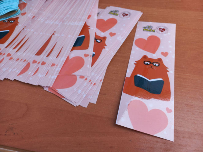 Mruczki w roli głównej. Dzień Kota w schronisku dla bezdomnych zwierząt w Henrykowie