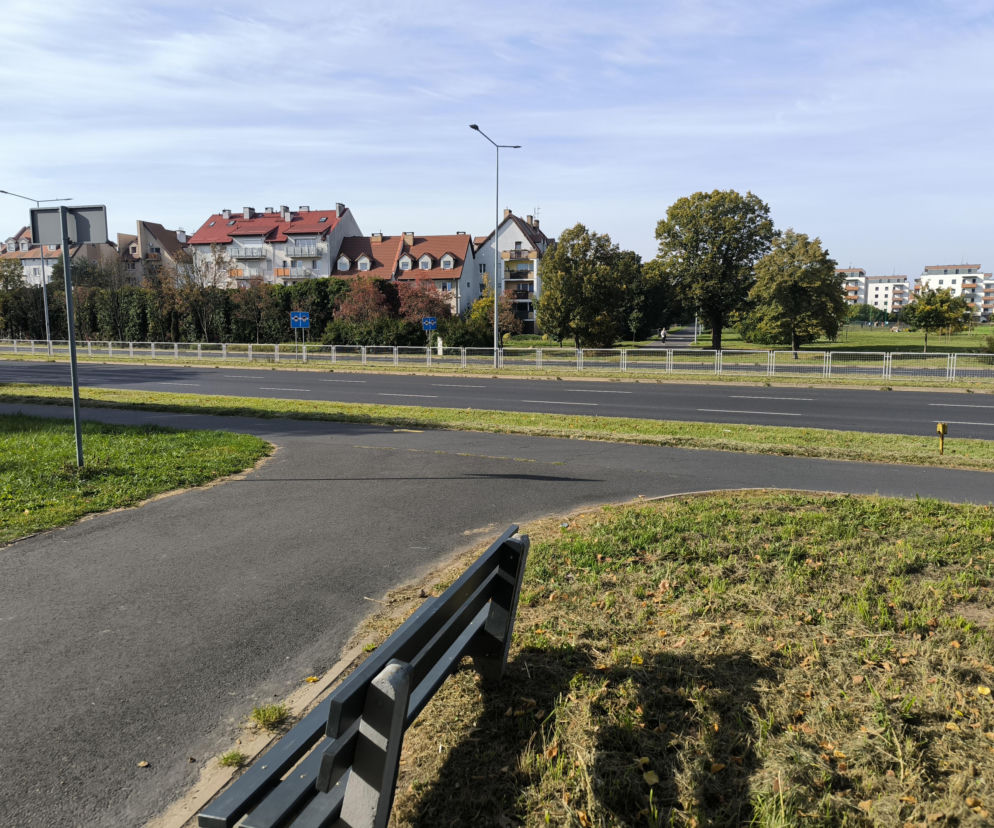 Rewolucja dla pieszych na Konstytucji 3 Maja. Czy kierowcy powinni obawiać się korków?