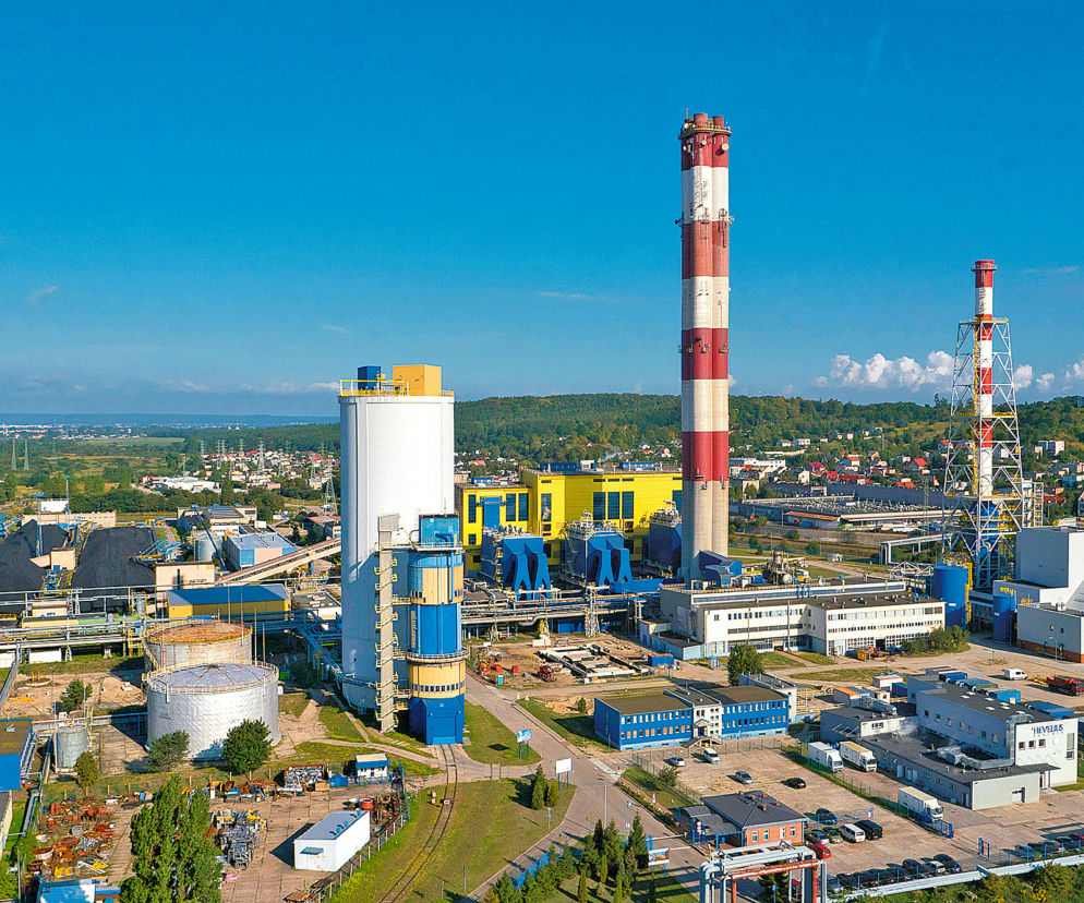 PGE-energia ciepła, pomaga chronić sokoła wędrownego w Polsce