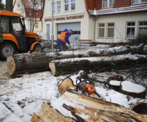 W Koszalinie połamało drzewa. Musiała interweniować straż pożarna.