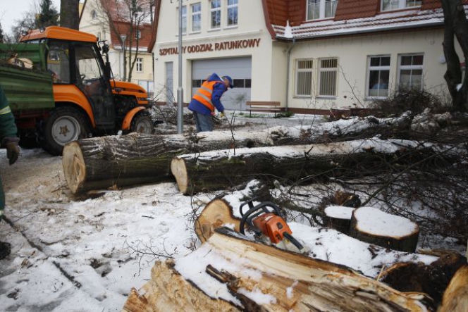 W Koszalinie połamało drzewa. Musiała interweniować straż pożarna.
