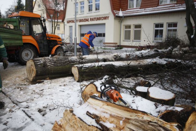 W Koszalinie połamało drzewa. Musiała interweniować straż pożarna.