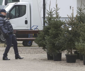 Kurski szykuje się na święta