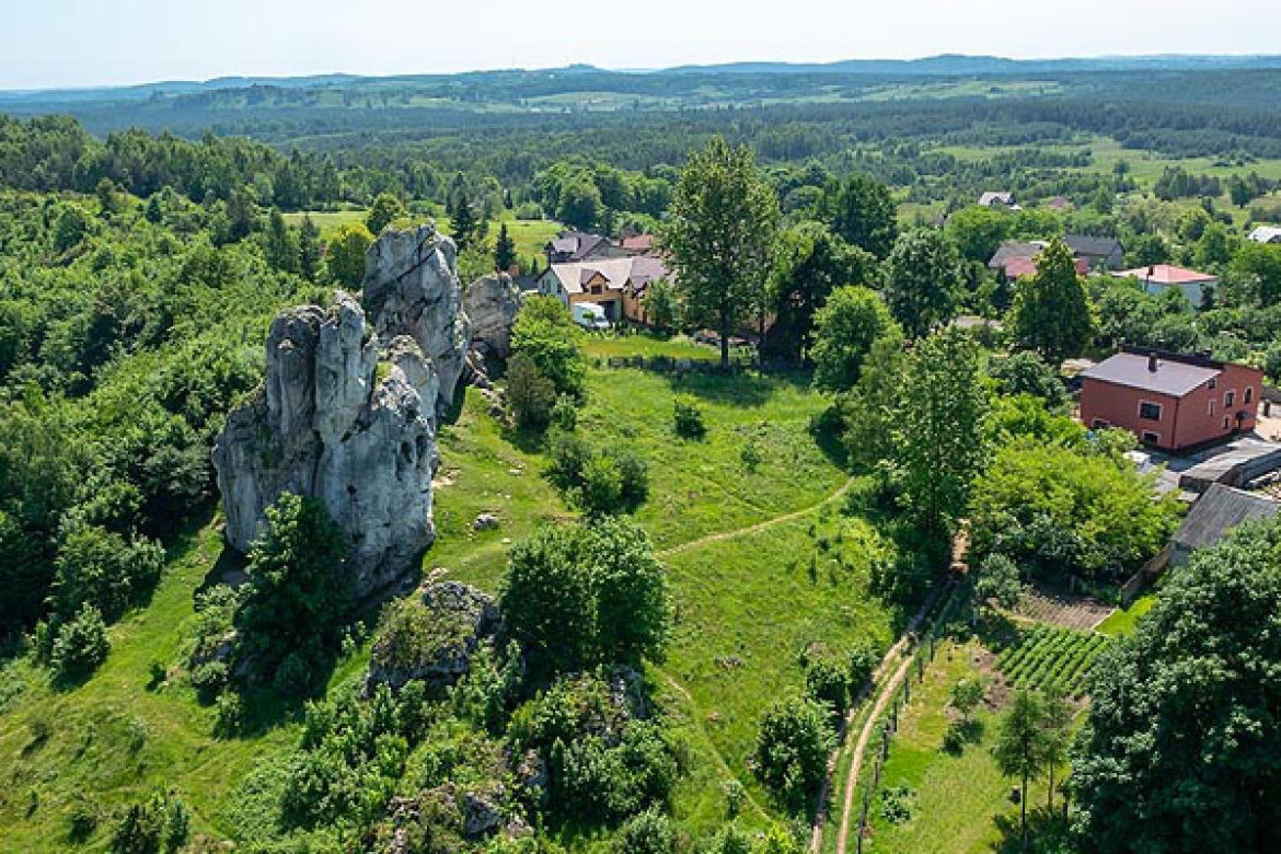 Niegowa
