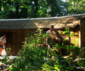 Zabezpieczanie zoo przed powodzią w 1997 roku