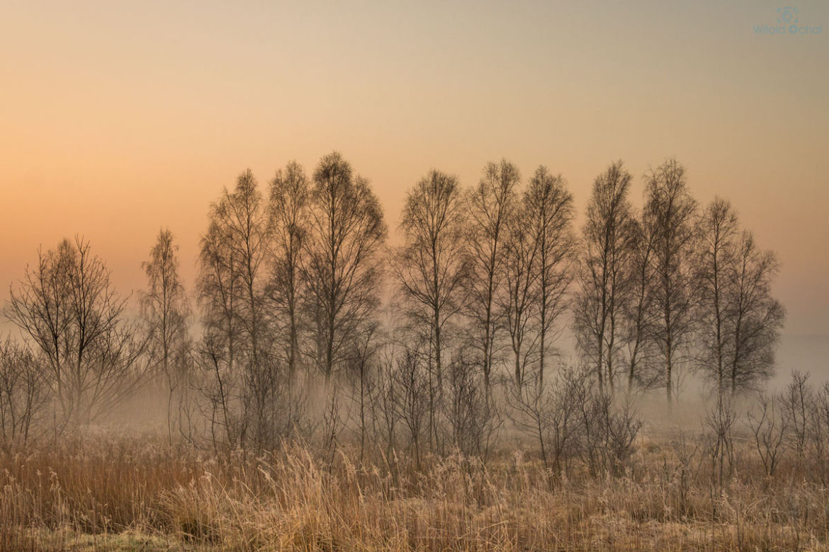 Witold Ochał - fotografie mieszkańca Podkarpacia wbijają w fotel! 