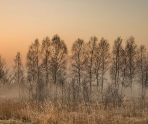 Witold Ochał - fotografie mieszkańca Podkarpacia wbijają w fotel! 