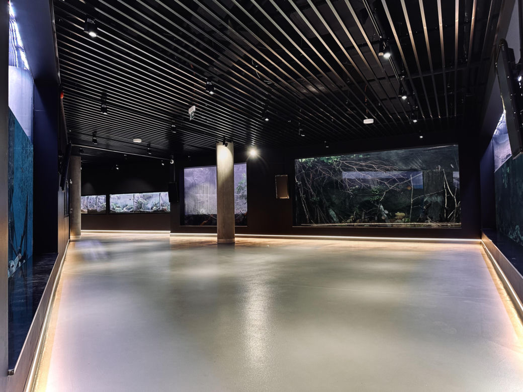 Nowe Egzotarium w Sosnowcu
