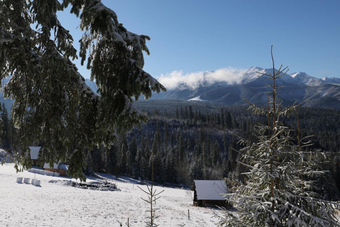 Śnieg w Tatrach