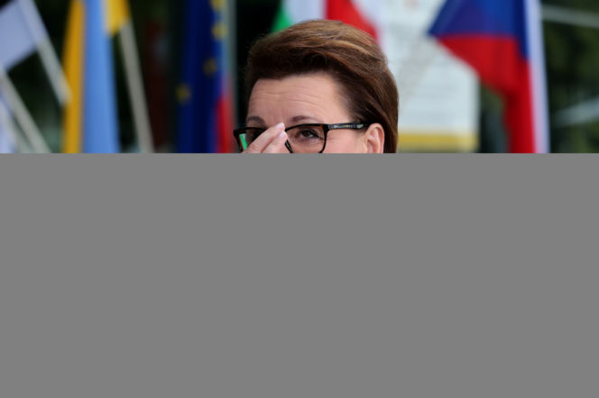 Elżbieta Zalewska, reforma edukacji