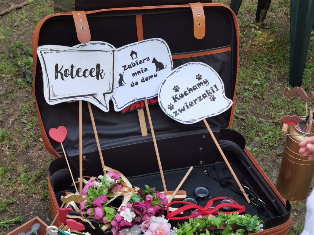 Świętowali Dzień Psa w kaliskim Parku Miejskim