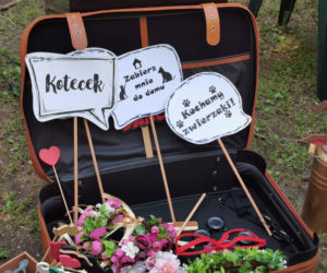 Świętowali Dzień Psa w kaliskim Parku Miejskim