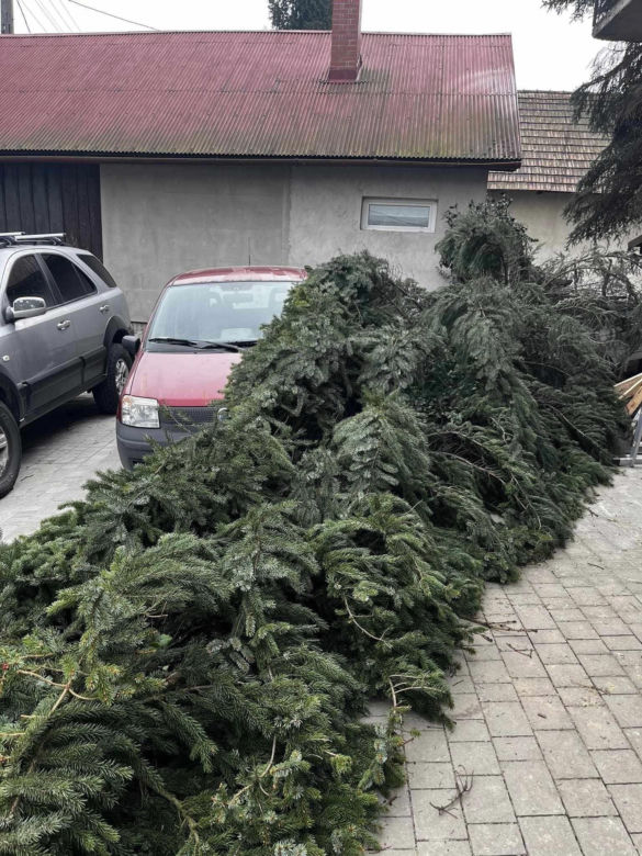 Wichury w Beskidach. Interwencje strażaków. Powalone drzewa, zniszczone linie i auta 