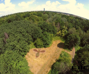 Parkowy trzmiel