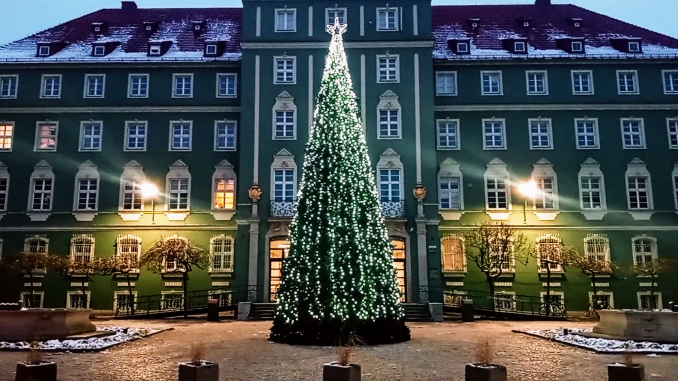 Miejska choinka rozbłysła przed szczecińskim magistratem