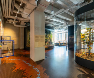 Muzeum Fabryka Czekolady E.Wedel w Warszawie