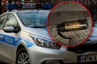 Chodził z maczetą, w sklepie zaatakował gazem. Agresywny 22-latek siał grozę w mieście