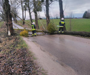 Wichura na Warmii i Mazurach. Silny wiatr łamał drzewa