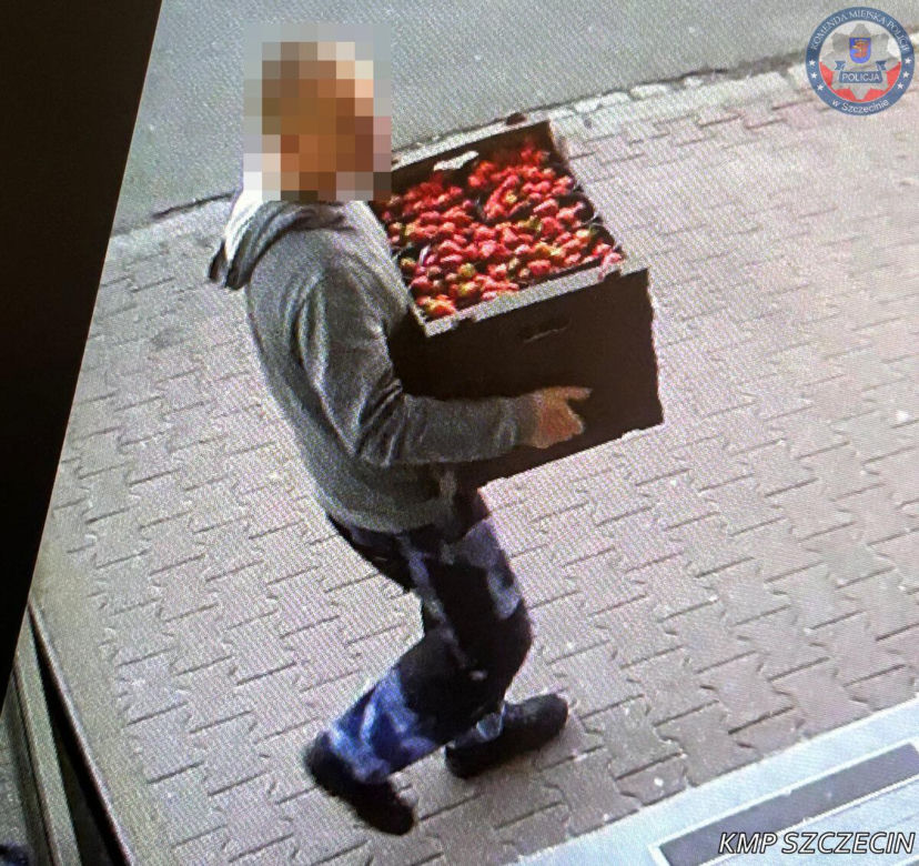 Włamywacze w rękach policji