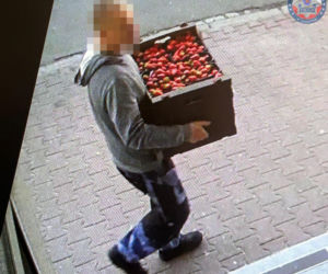 Włamywacze w rękach policji