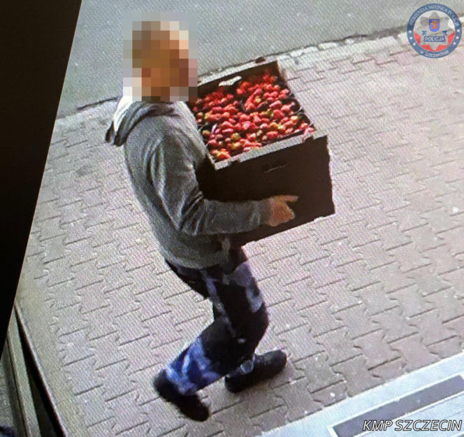 Włamywacze w rękach policji