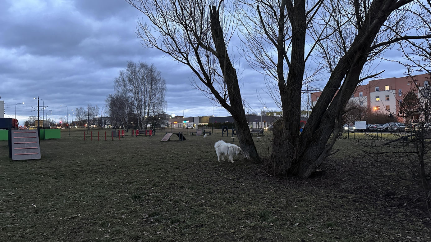 Psi park na ul. Opolczyka w Łodzi