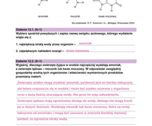 Matura próbna 2026 - biologia. Wszystkie odpowiedzi do arkusza CKE z biologii 14.01.2026
