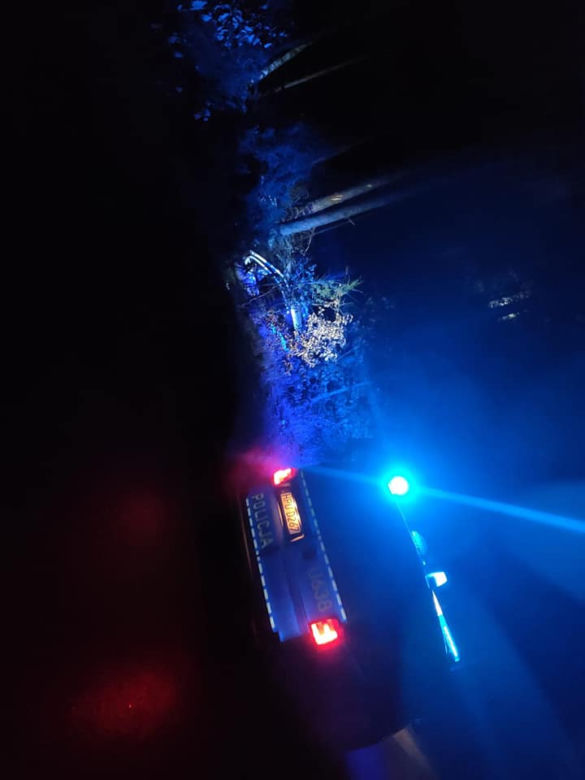Piła: Zakrwawiony 15-latek wyszedł z lasu. W nocy pijany ukradł auto i roztrzaskał je na drzewie [ZDJĘCIA]