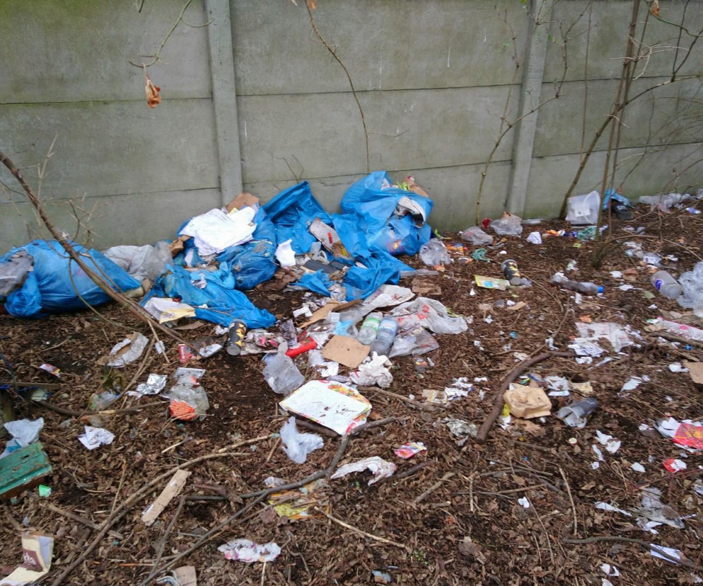 Kolejne wysypisko śmieci w Poznaniu