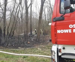 Seria pożarów w lasach pod Płońskiem! Straż pożarna: To były podpalenia! [ZDJĘCIA]