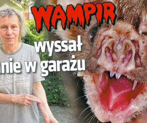 Wampir wyssał mnie w garażu