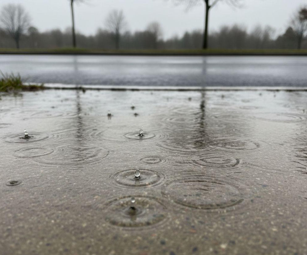 Pogoda na weekend w Bydgoszczy 17-19 kwietnia. Po słonecznym piątku nadejdzie deszczowa aura