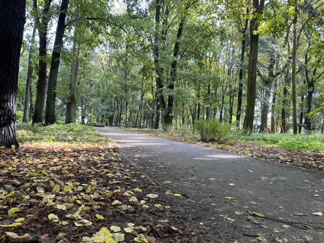 Park Kopernika w Gorzowie w jesiennej scenerii